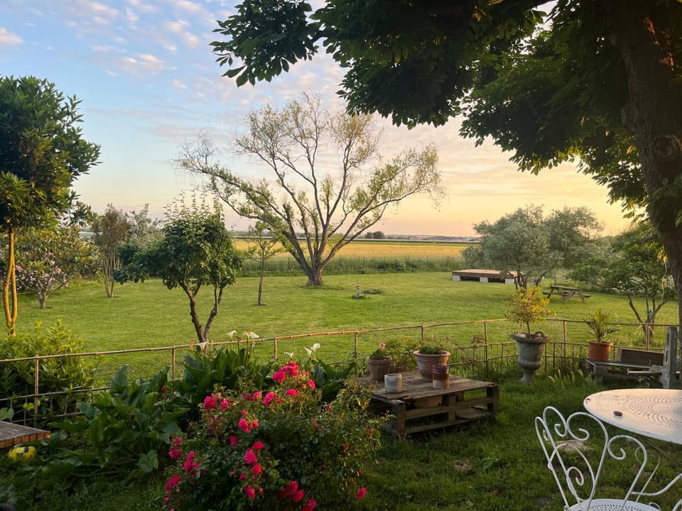Spring, Garden, Garden view