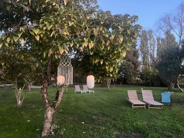 Natural landscape, Garden, sunbed