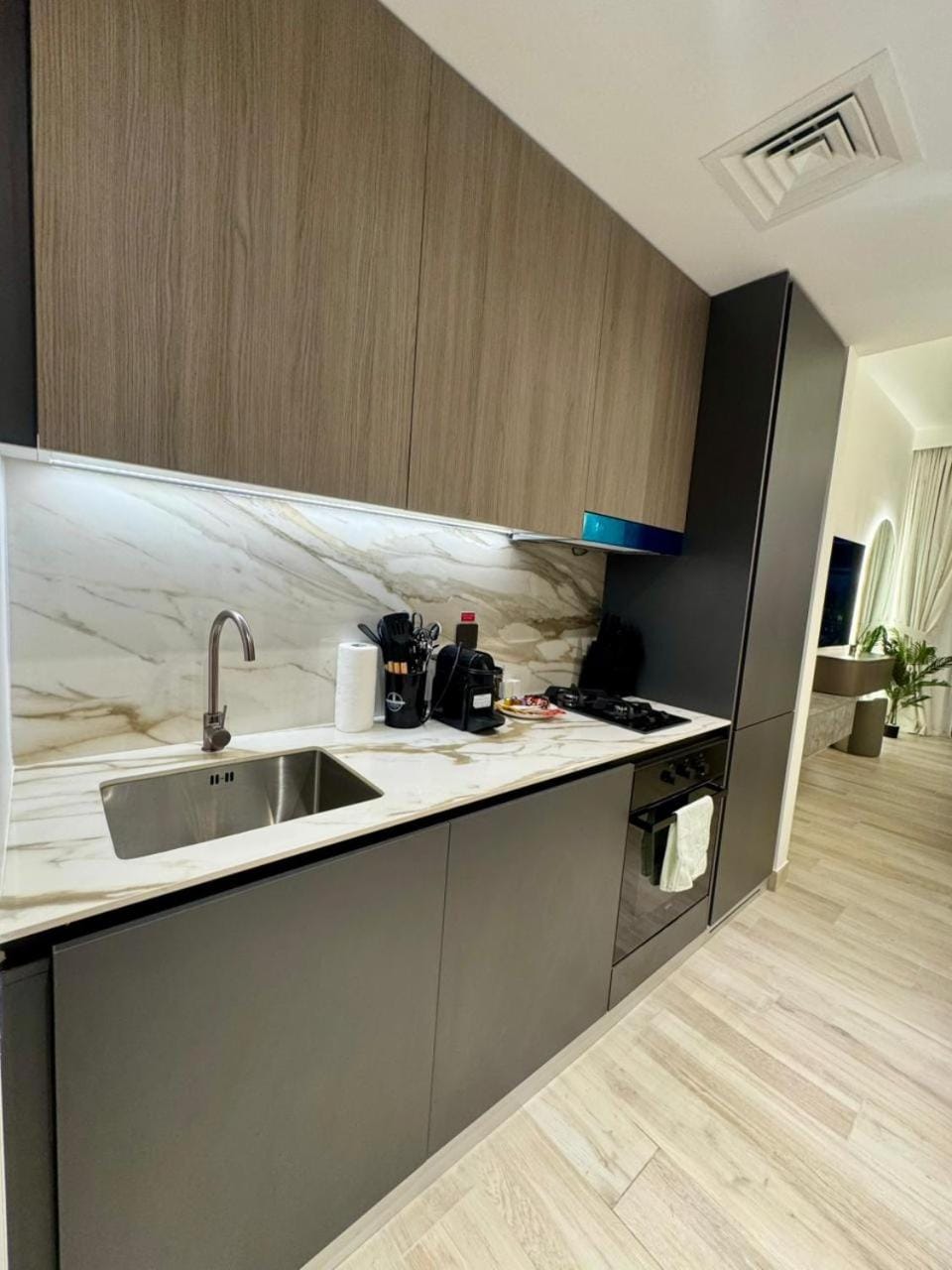 Kitchen or kitchenette, kitchen