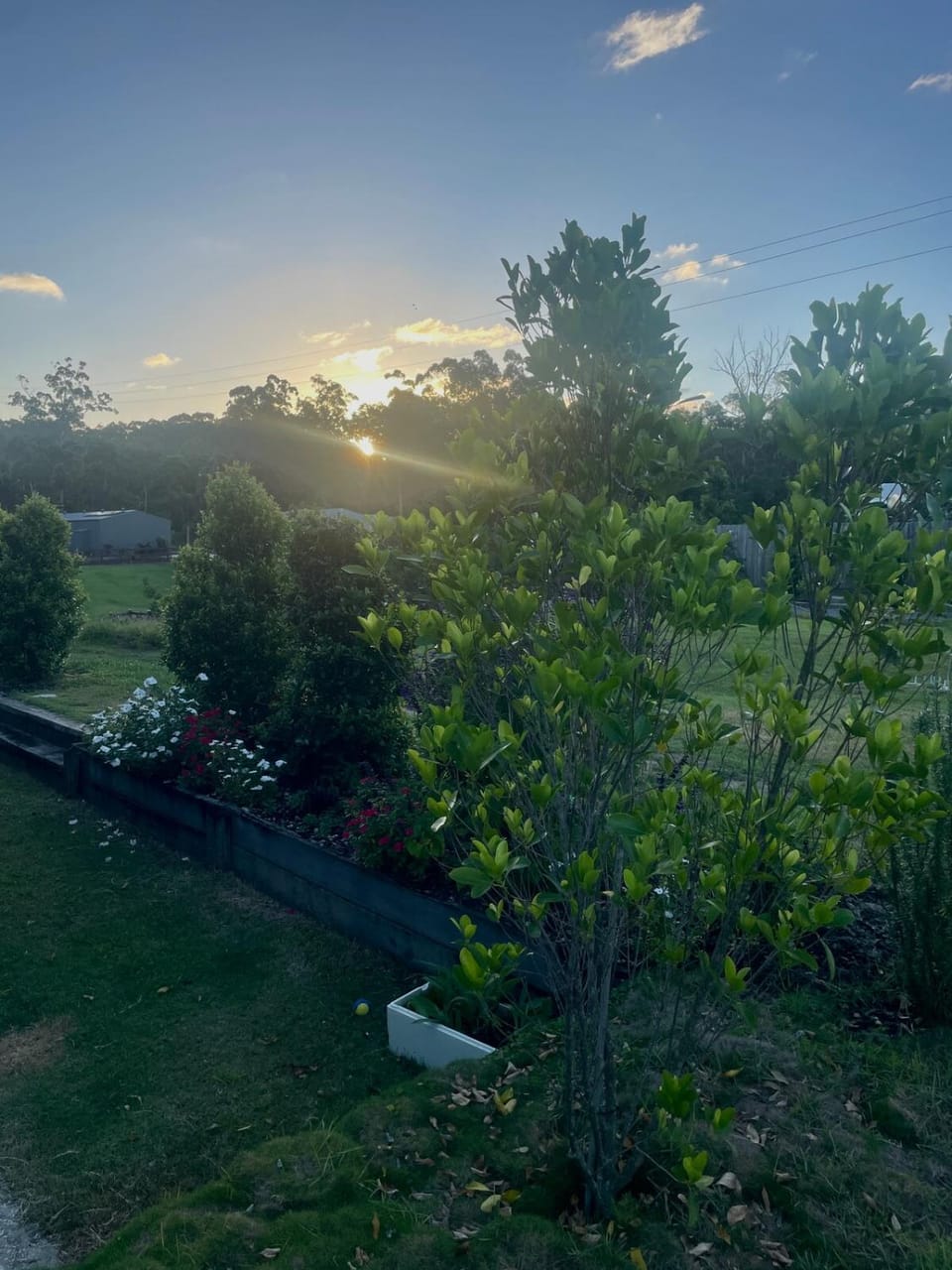 Beautiful Hideaway close to the Zoo Villa in Queensland