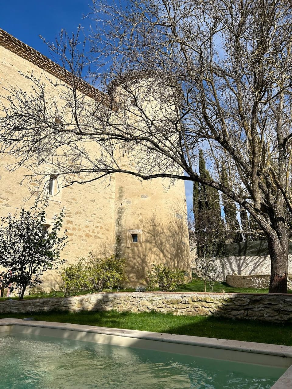 Garden view