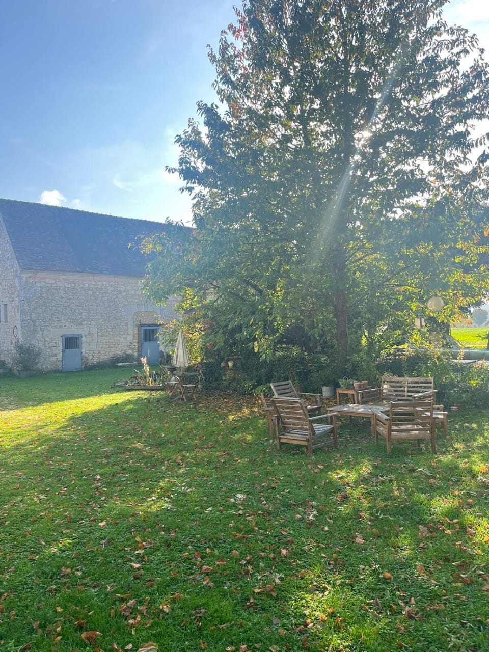 Garden view