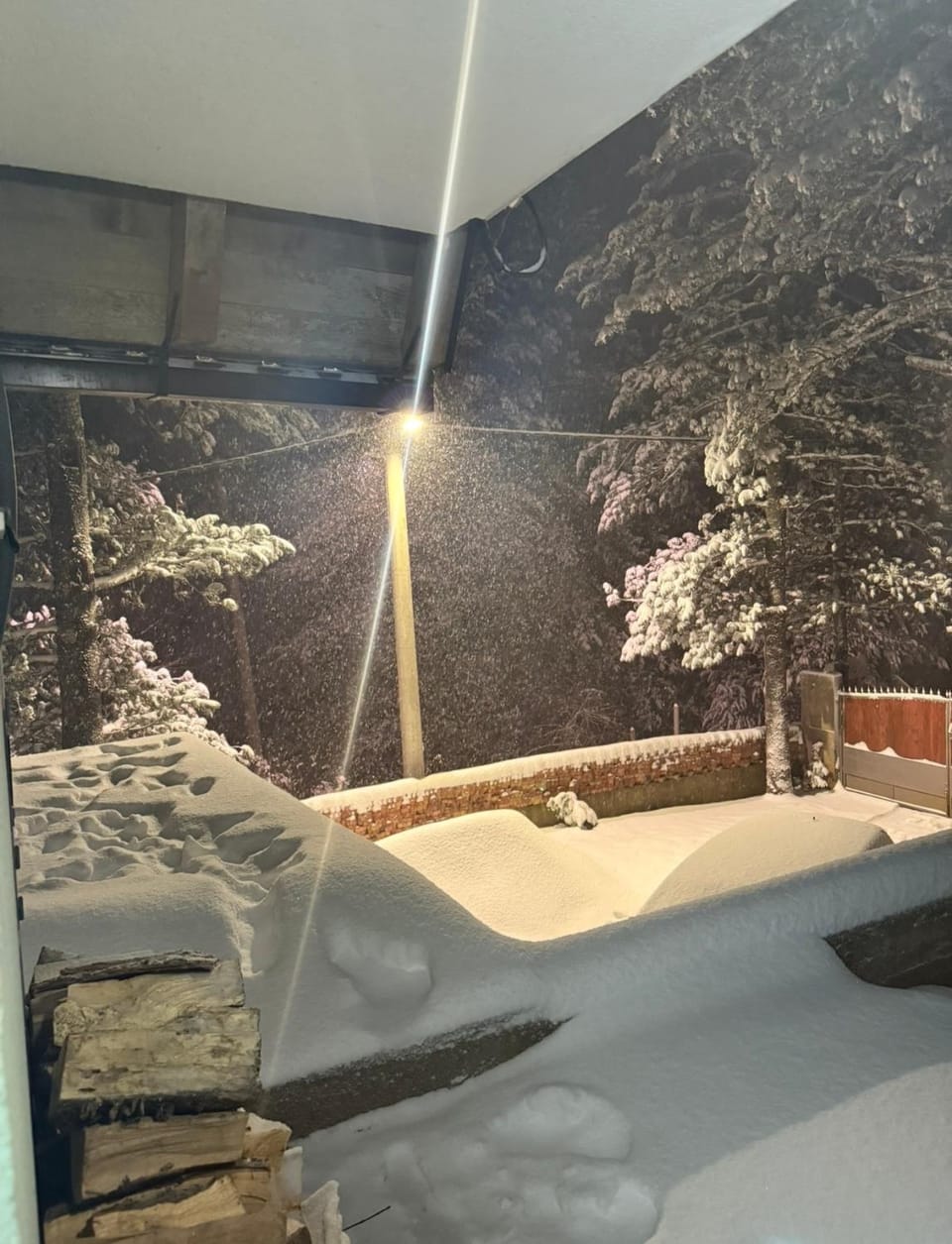 Vikendica Rujiste Apartment in Federation of Bosnia and Herzegovina