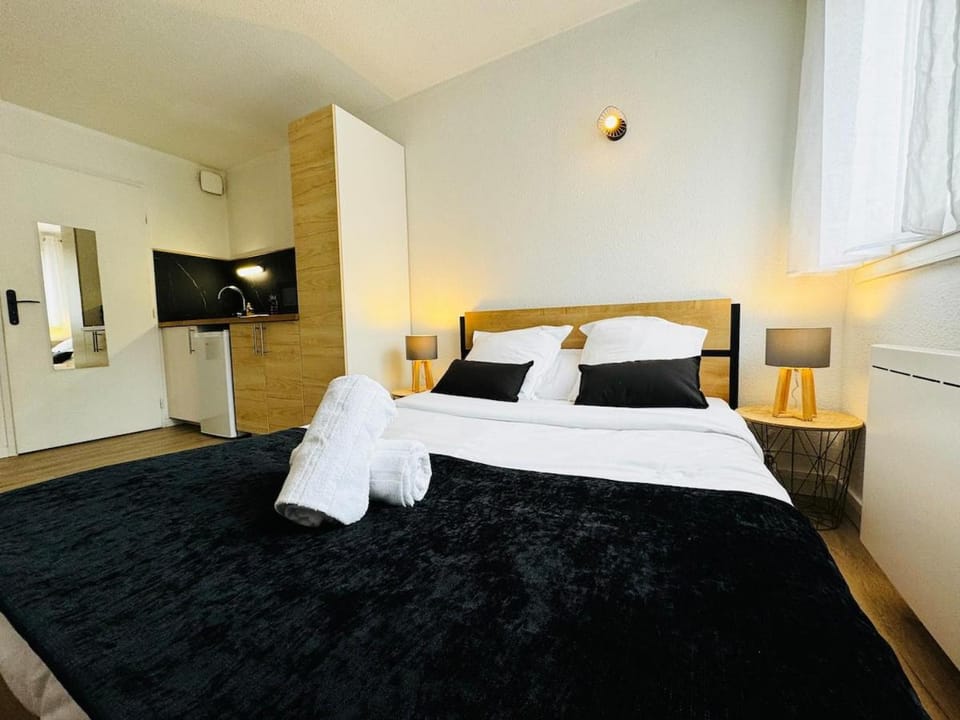 139 Salengro - Studio - INSA Apartment in Villeurbanne