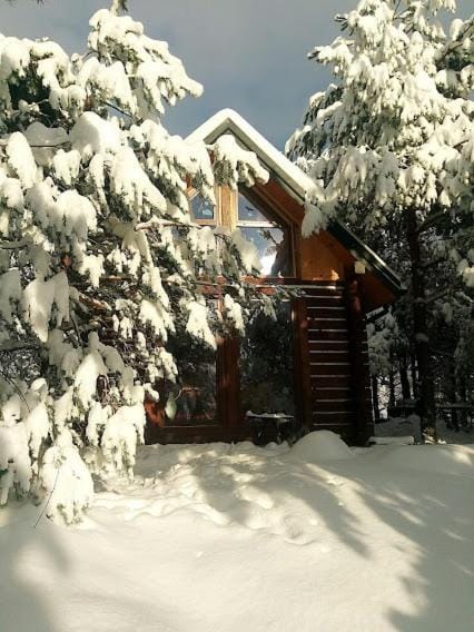Property building, Winter, Garden