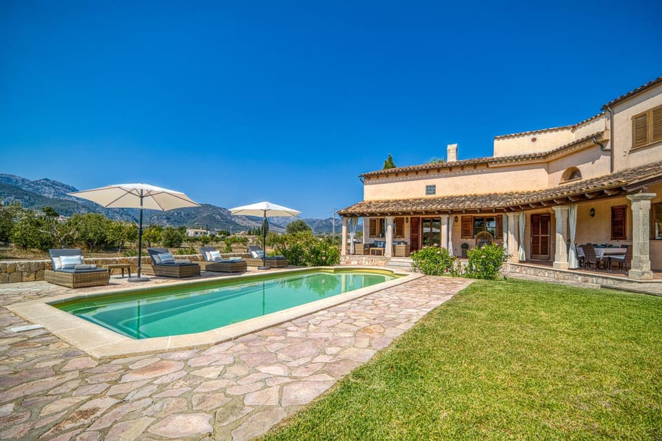 Patio, Garden, Garden view