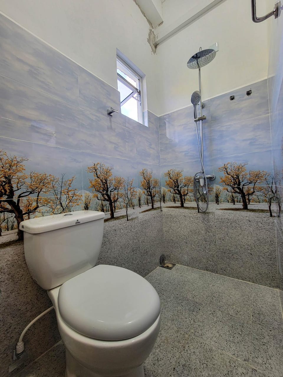 Toilet, Bathroom