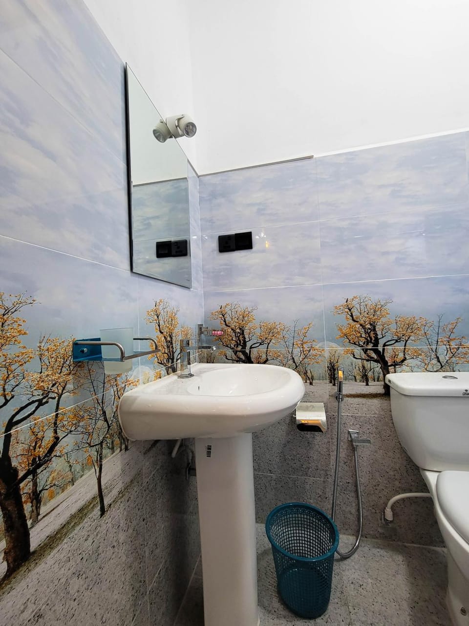 Toilet, Natural landscape, Bathroom