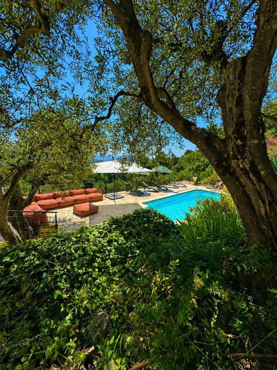 Peaceful Villa Olive Grove Sea View Pool 5 bd House in Grasse