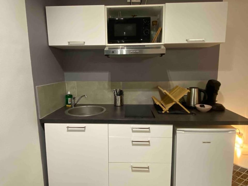 V1 lumineux studio plein centre - 5 min Golfech Apartment in Occitanie
