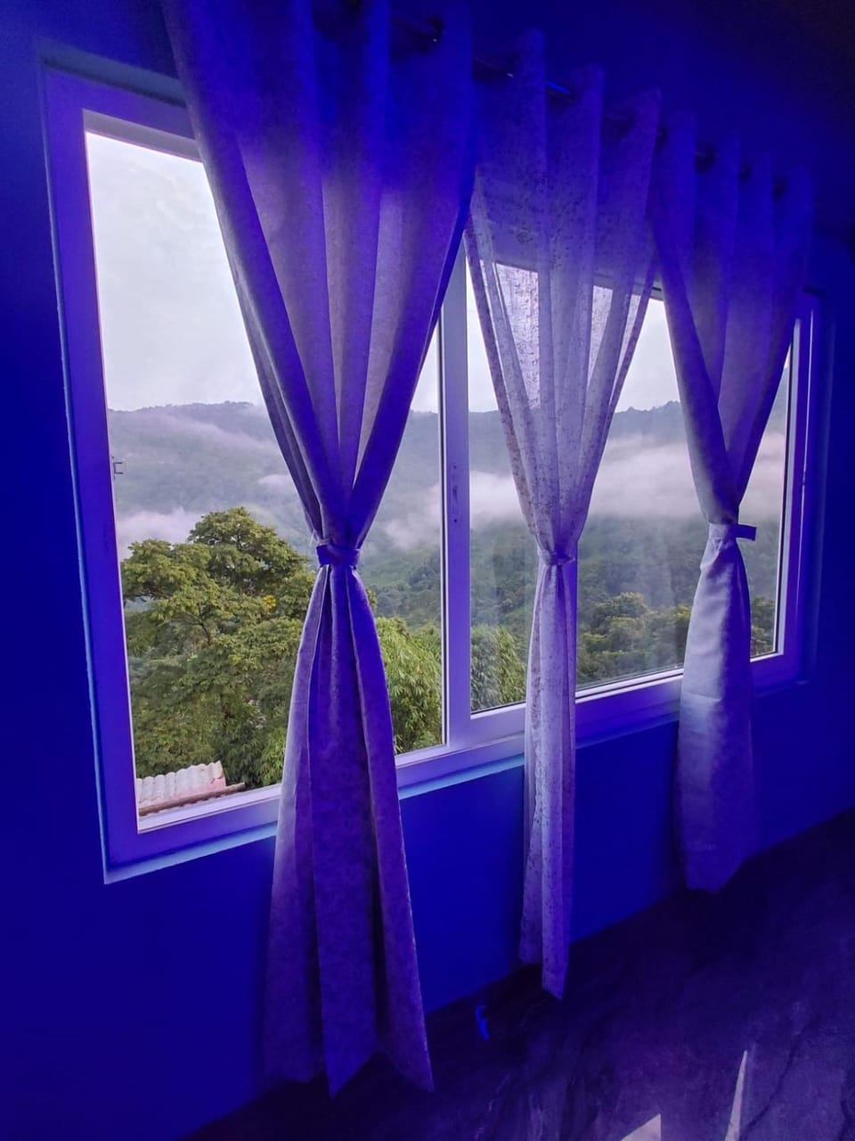 Damphu Homestay Vacation rental in West Bengal