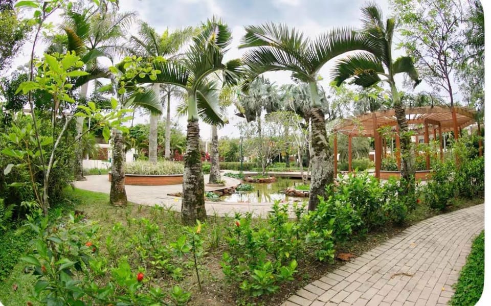 Lake view