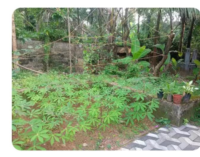 Dream Home Vacation rental in Kerala