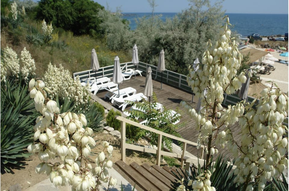 Family house ''Siema'' Bed and Breakfast in Nessebar