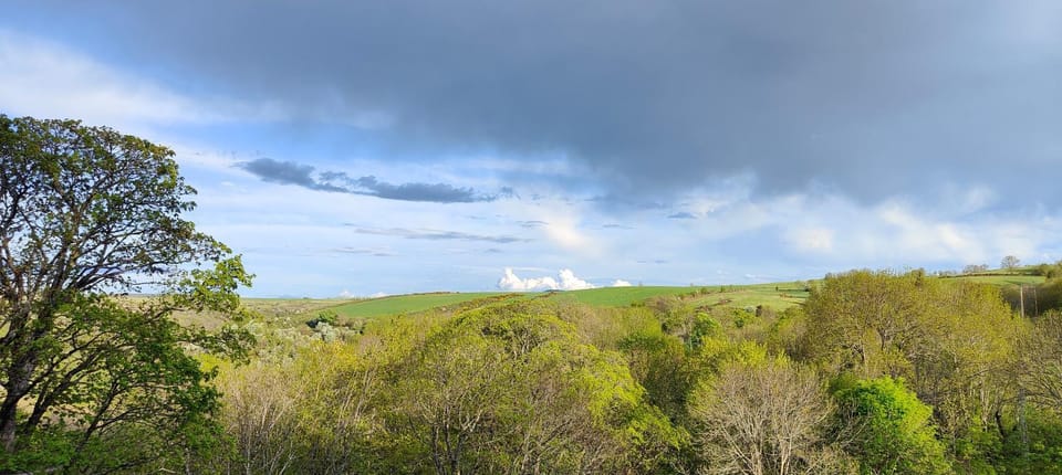 View (from property/room)