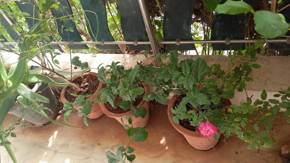 Raina's Home Apartment in Gujarat