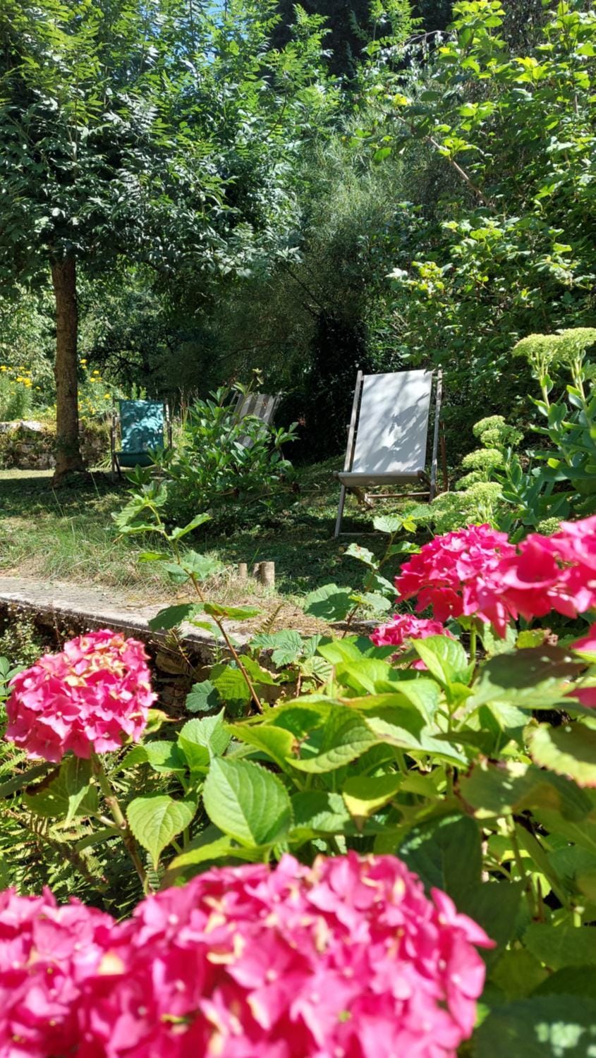 Garden, Balcony/Terrace