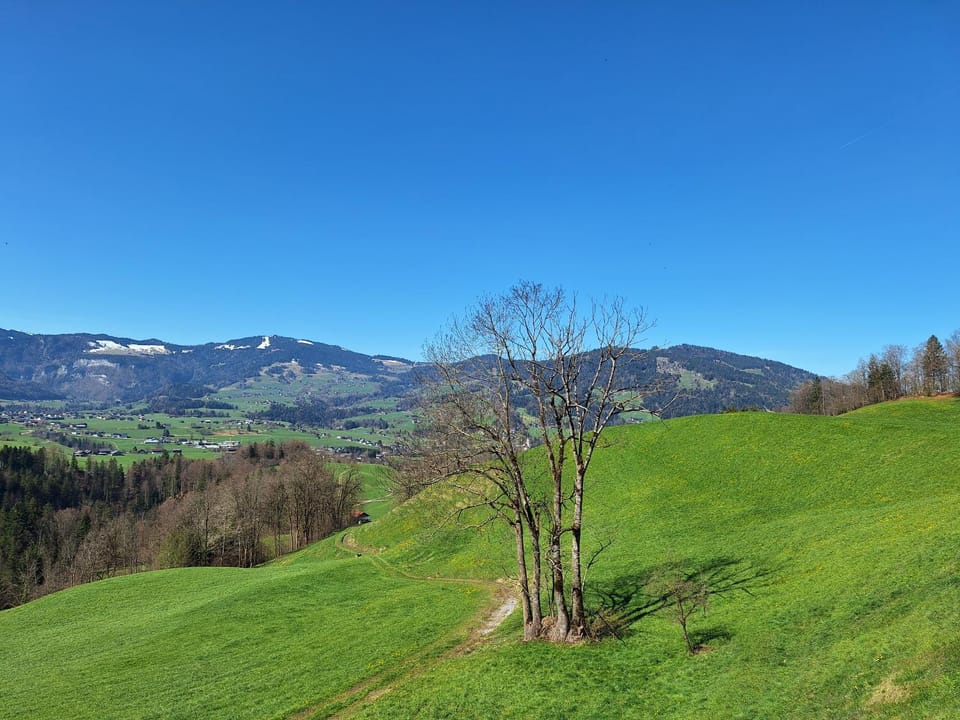 Ferienhof Muxel Apartment in Vorarlberg, Austria