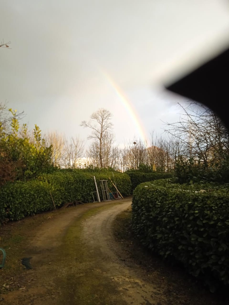 Jay's and Finchs House in Normandy