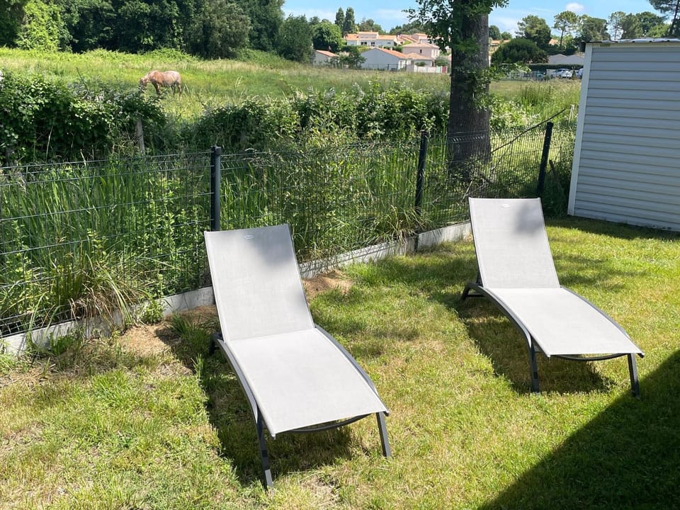 Garden, Animals, sunbed