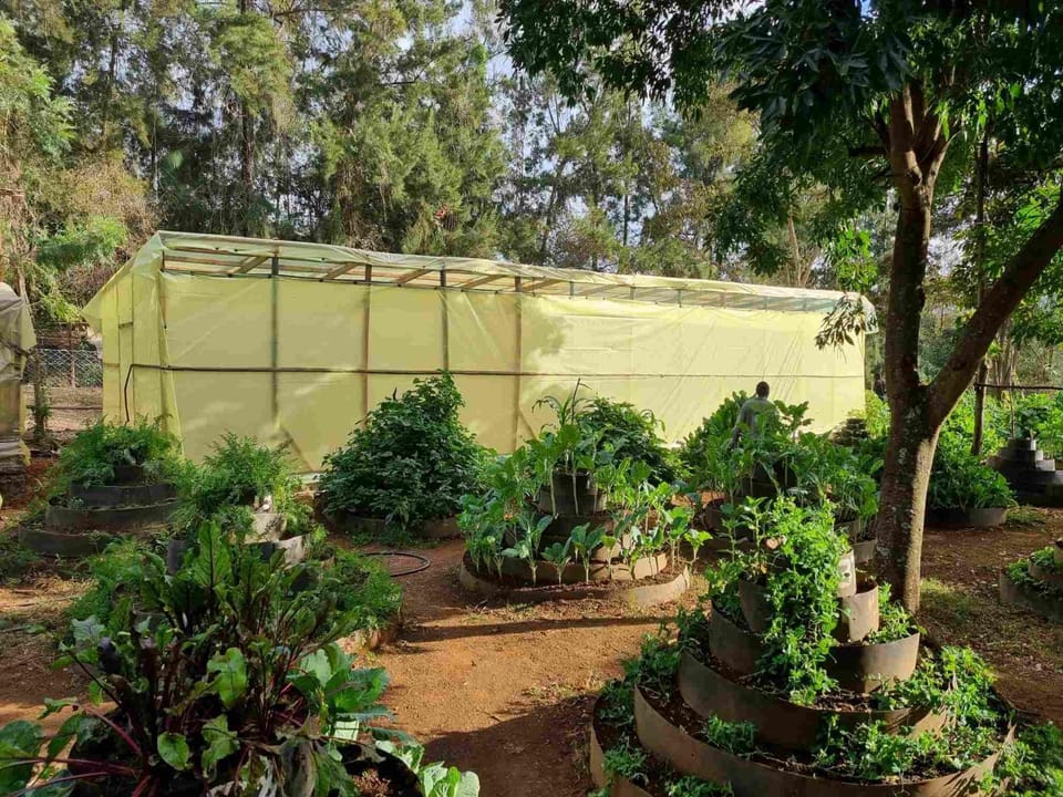 Garden