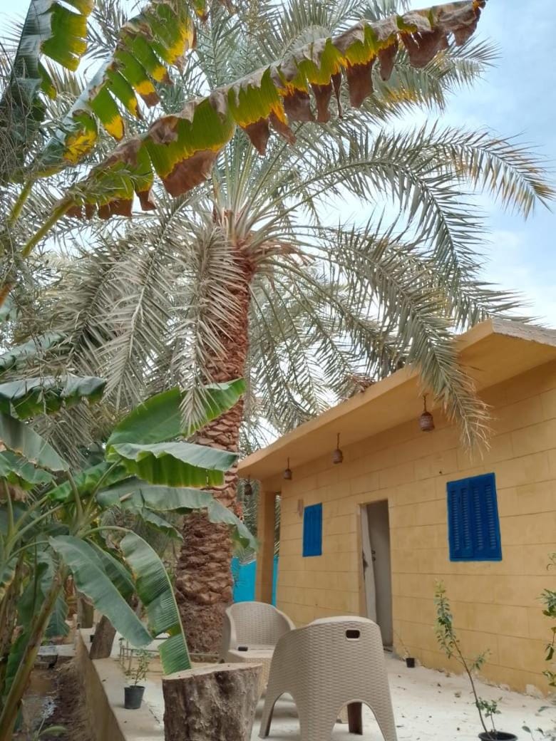 Soliman House Siwa Bed and Breakfast in Egypt