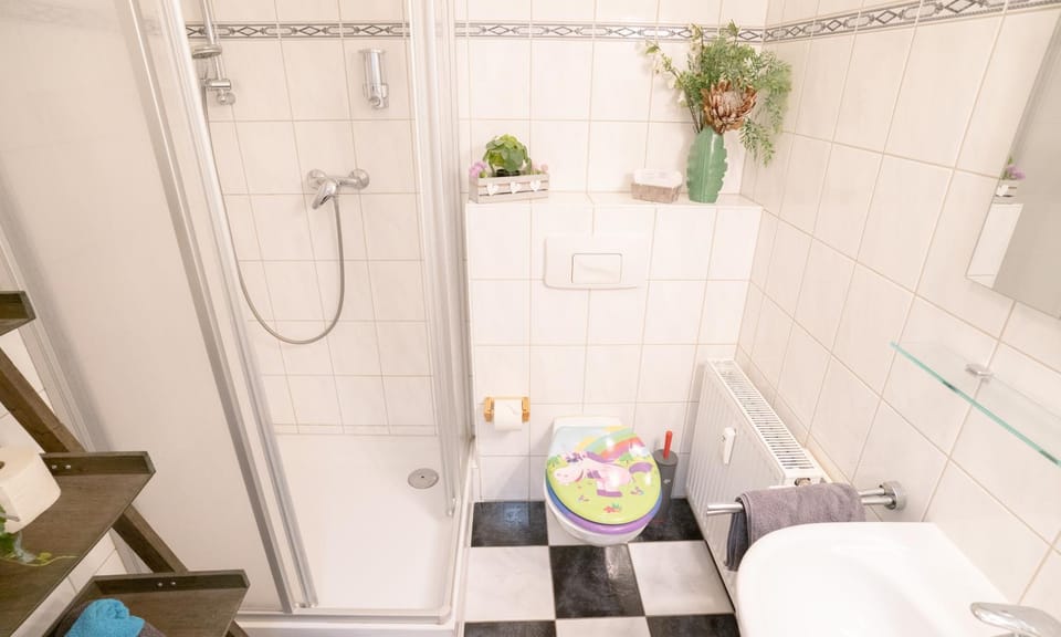 Shower, Toilet, Bathroom, towels