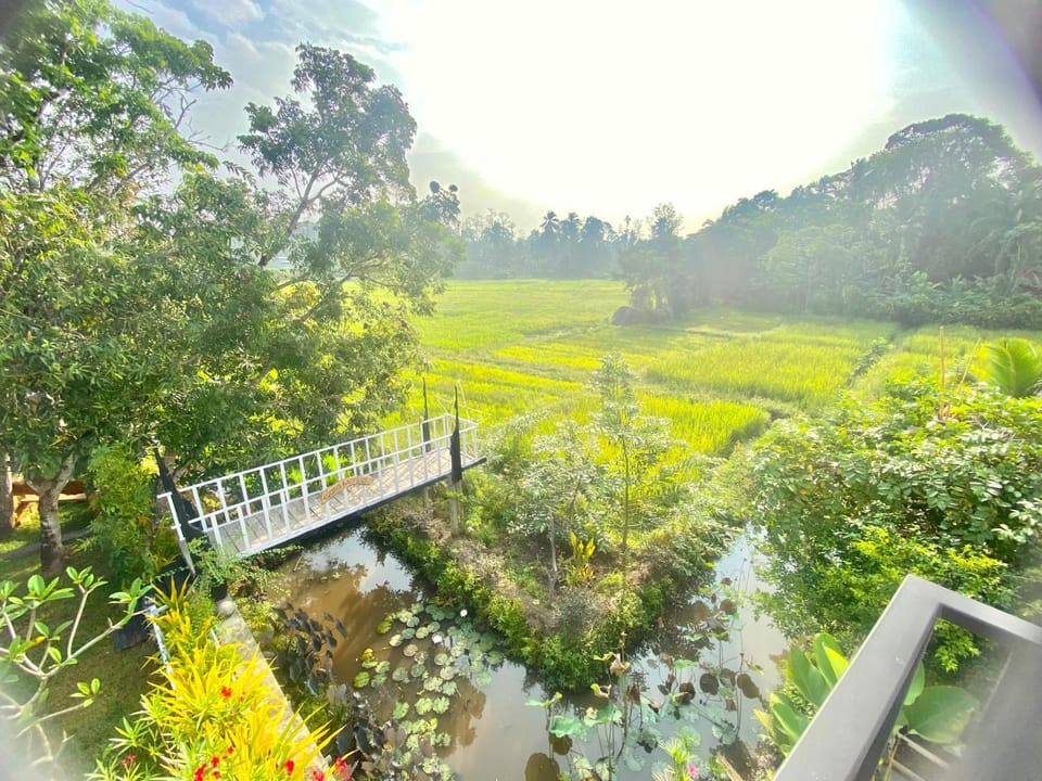 Garden view