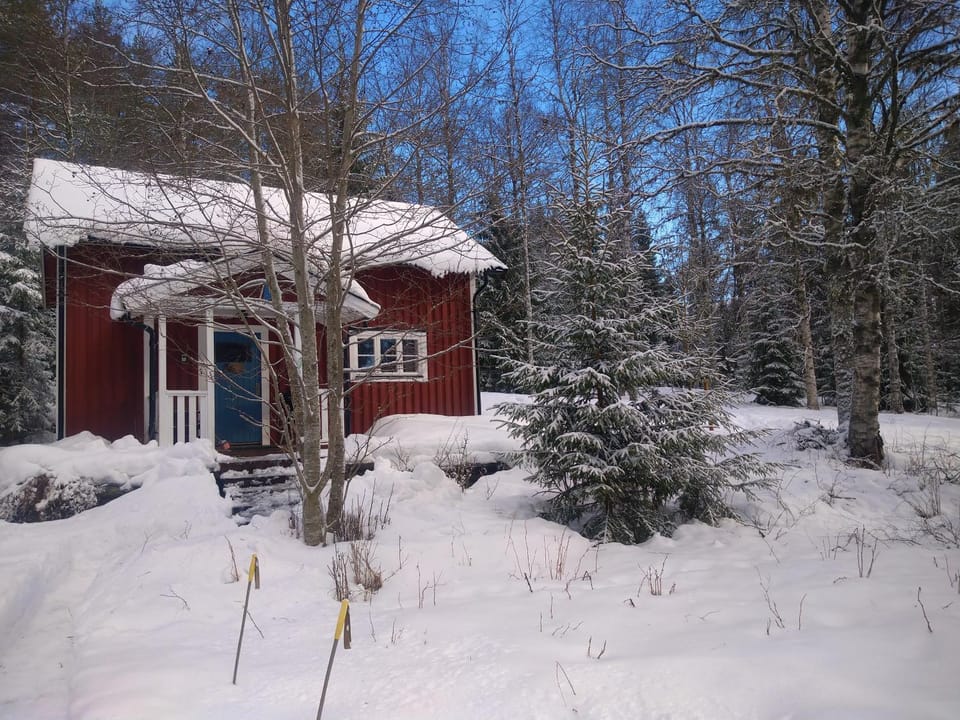 Property building, Winter, Garden