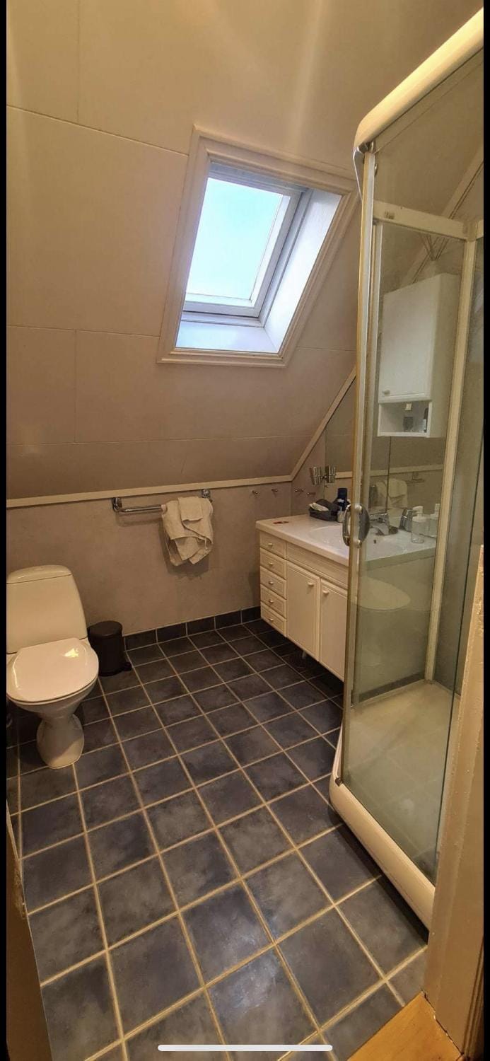 Shower, Toilet, Bathroom