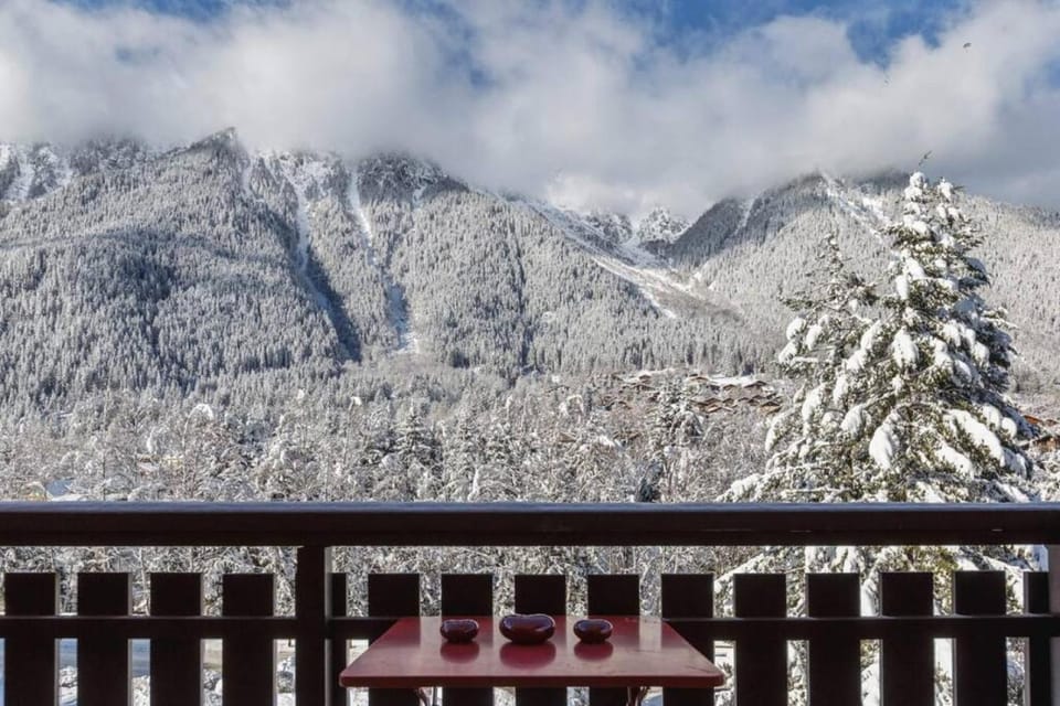 Les Choucas Spacieux 2CH Parking Calme Vues 5mn centre Apartment in Chamonix