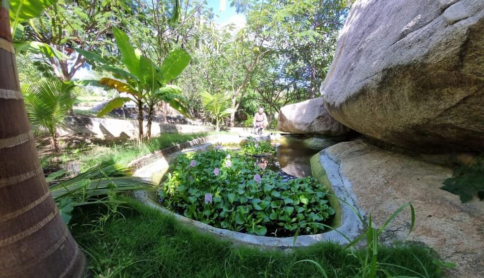 Pousada e Restaurante Parque das Aroeiras Nature lodge in State of Rio Grande do Norte, Brazil