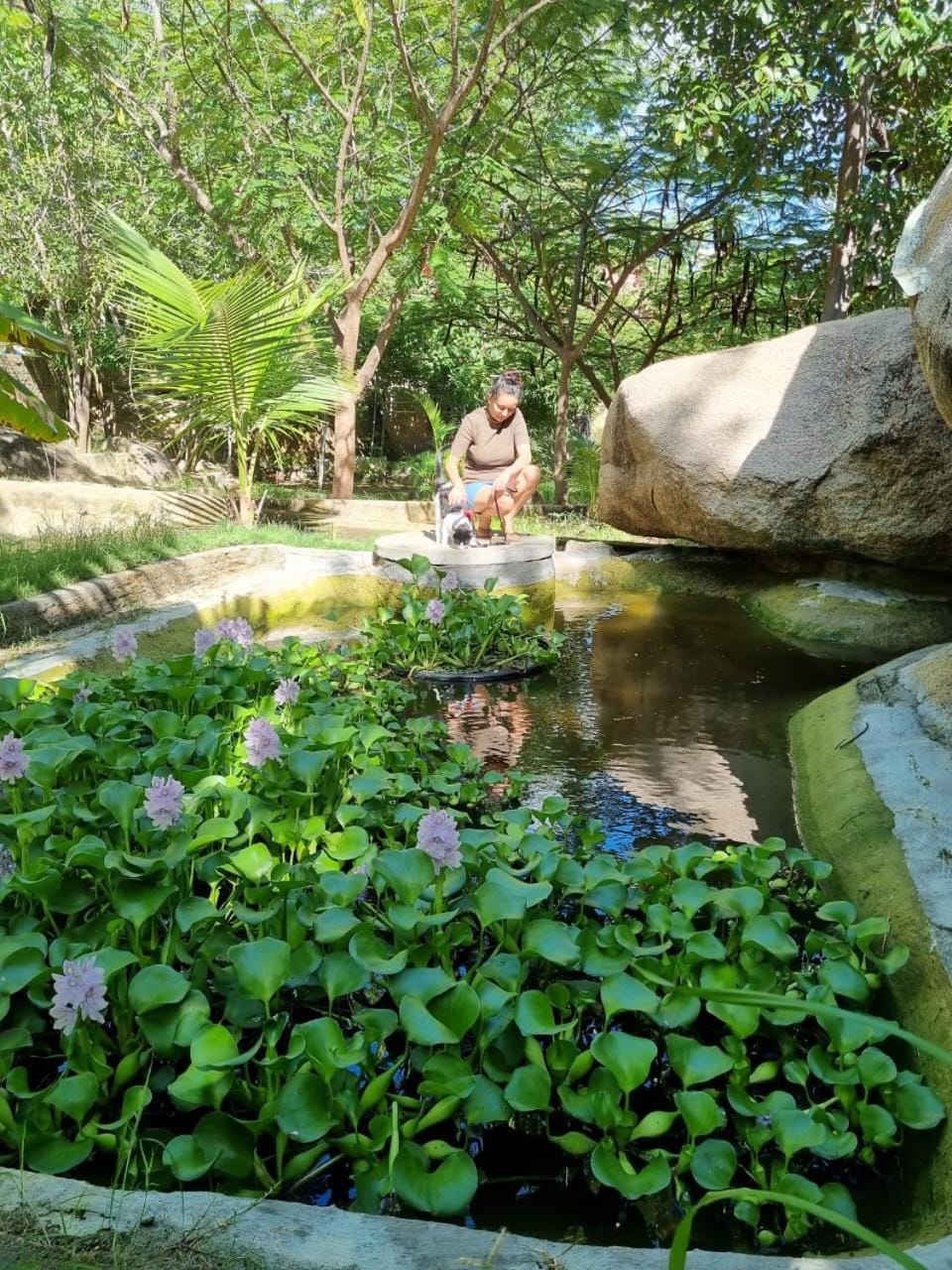 Pousada e Restaurante Parque das Aroeiras Nature lodge in State of Rio Grande do Norte, Brazil
