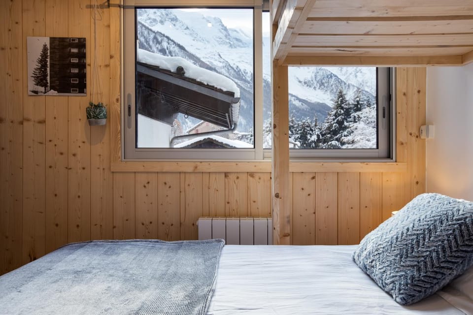 Savoy Cosy 1CH pied pistes Hypercentre Vue MtBlanc Apartment in Chamonix