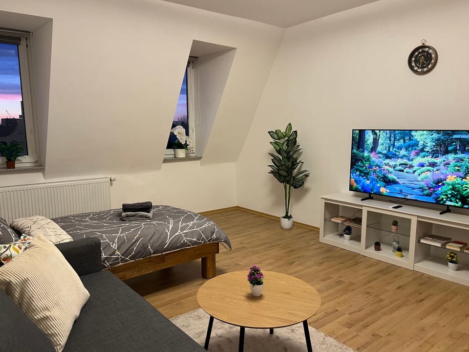 Bed, TV and multimedia, Living room, Photo of the whole room, Seating area, Evening entertainment, Bedroom
