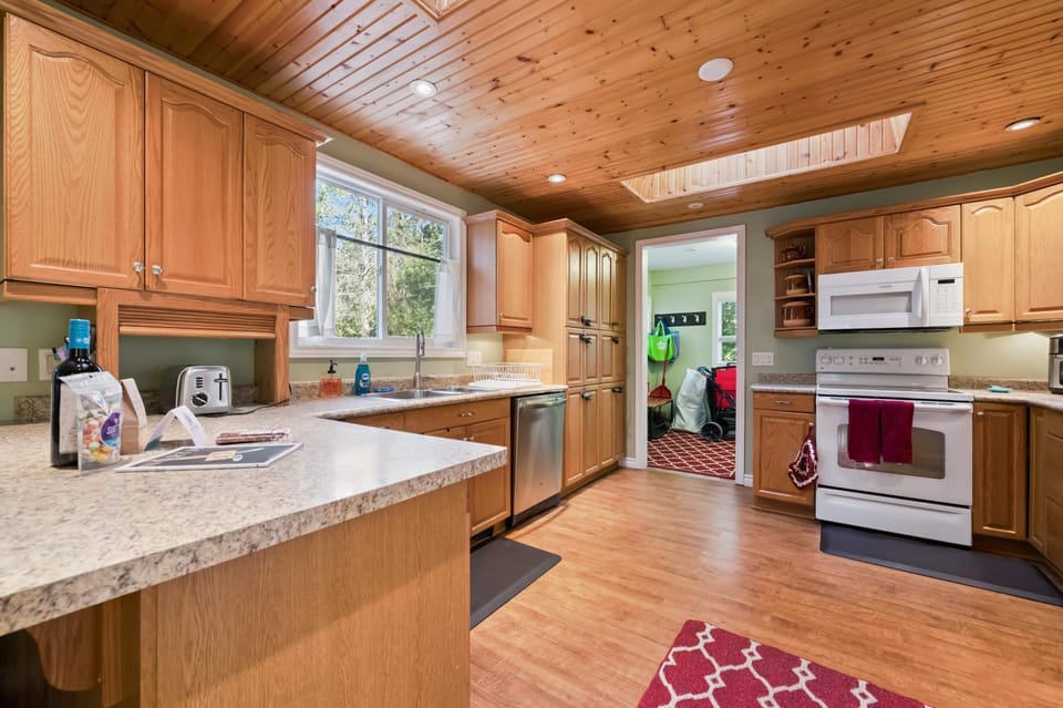 dishwasher, microwave, oven, stove, toaster