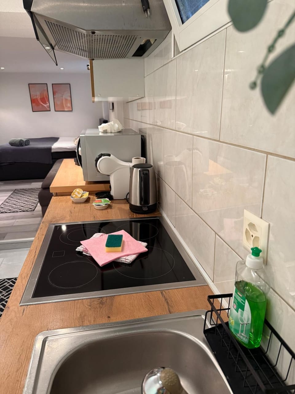 Studio apartment with Whirlpool on Lake Constance with free parking Apartment in Baden-Württemberg