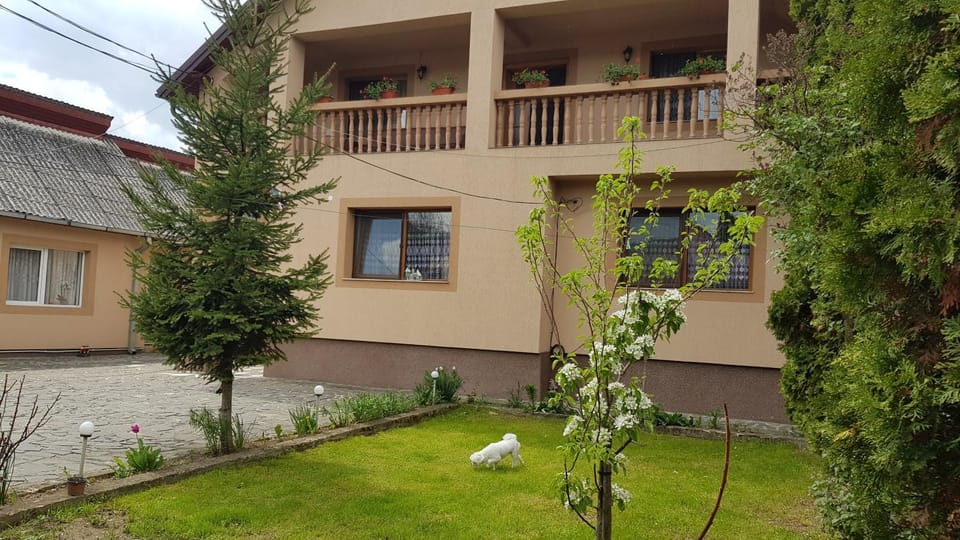 Pensiunea Todorica Sergiu Bed and Breakfast in Romania