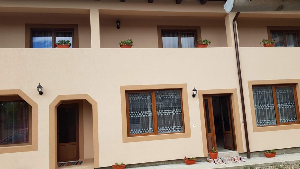 Pensiunea Todorica Sergiu Bed and Breakfast in Romania