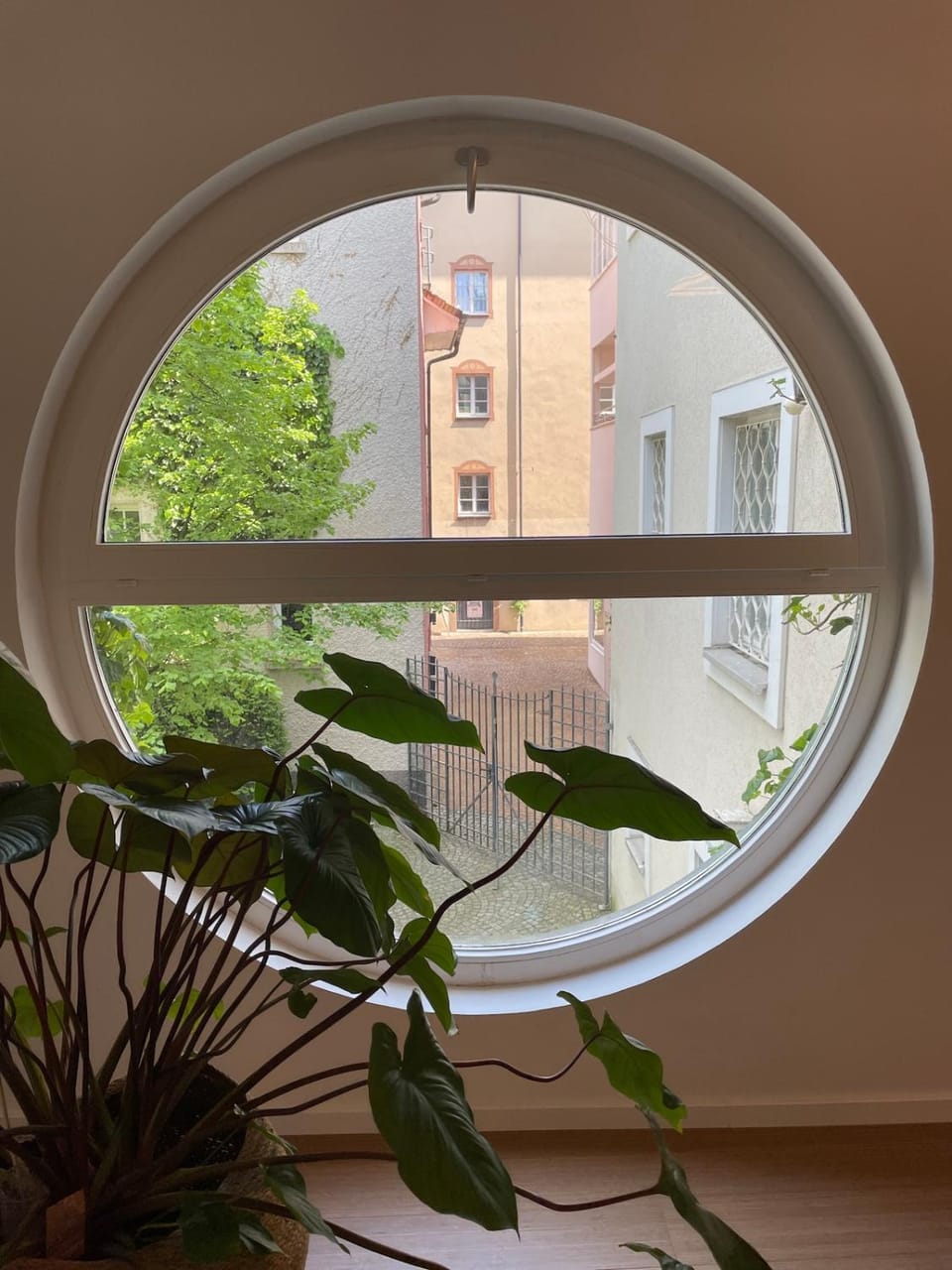 View (from property/room)