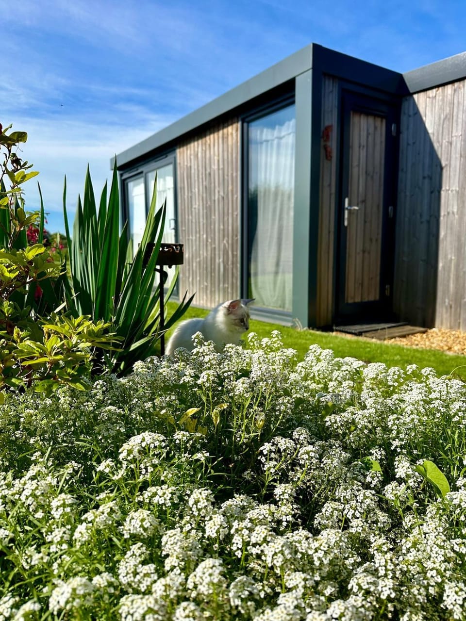 Cosy Studio with a field view Apartment in Ringwood