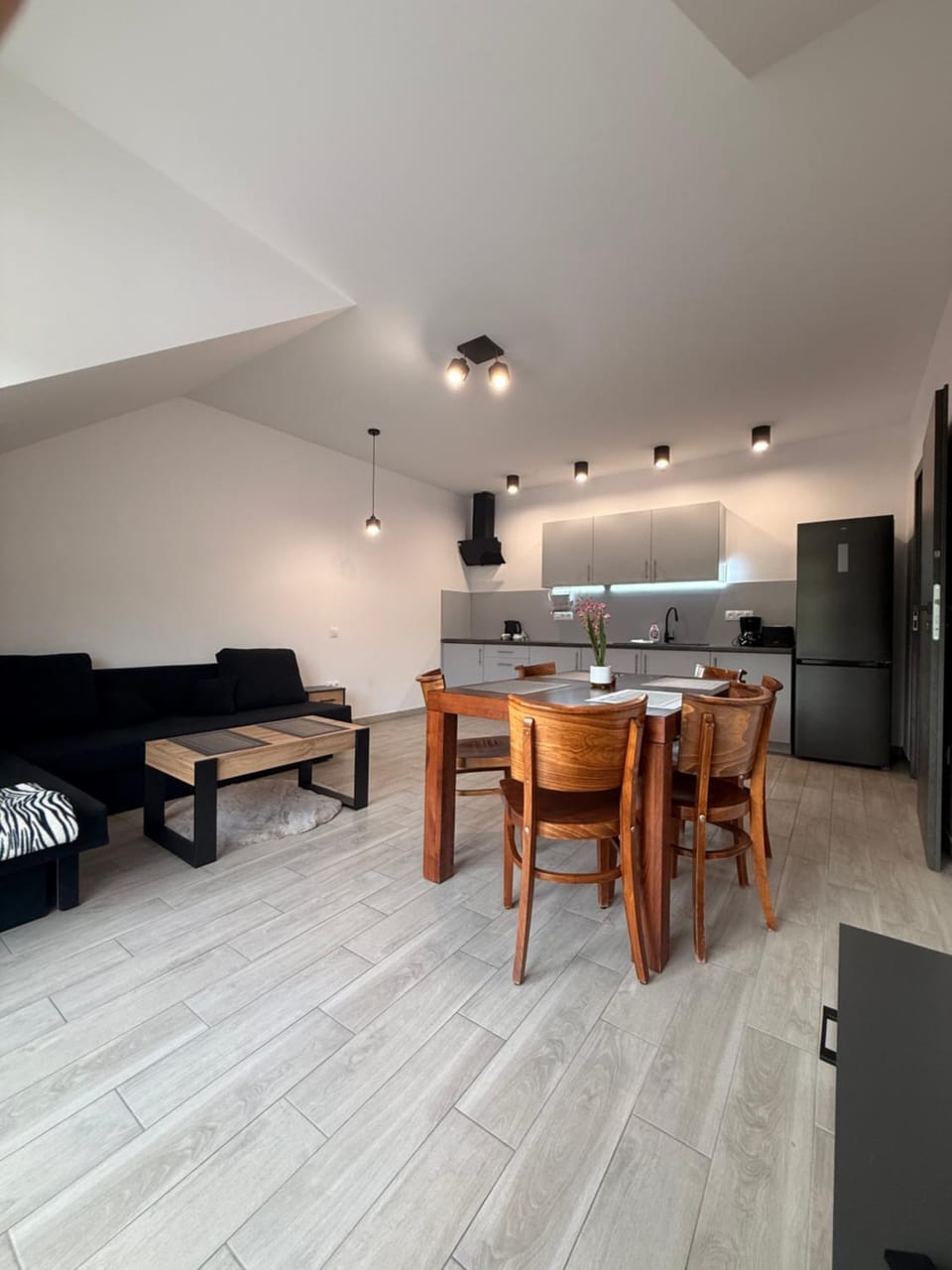 Kitchen or kitchenette, Living room, Seating area, Dining area, stove