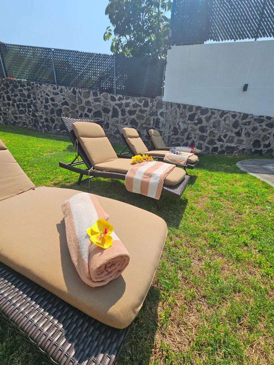 Garden, Garden view, sunbed, towels