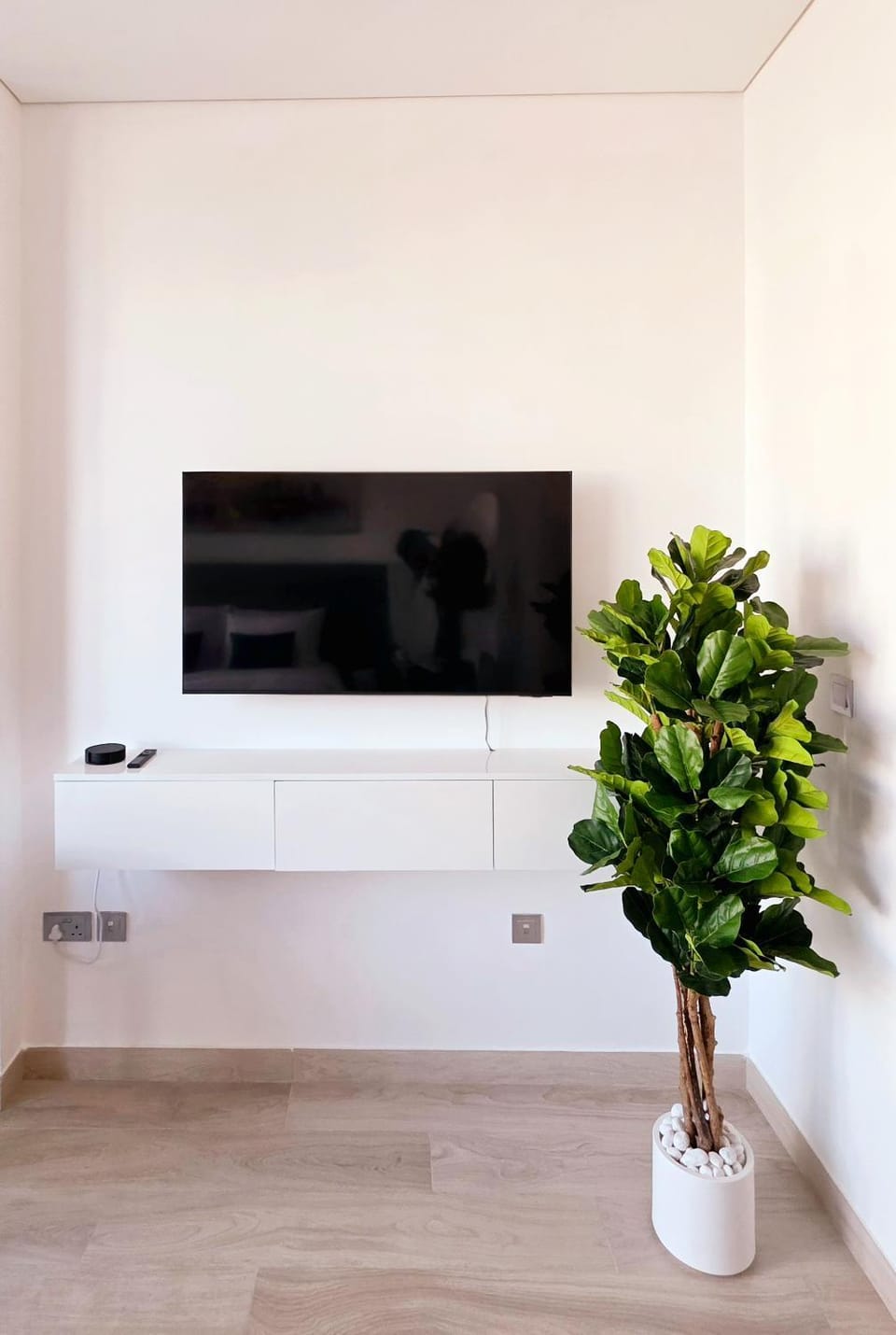 TV and multimedia
