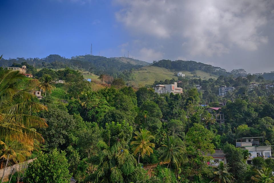 View (from property/room)