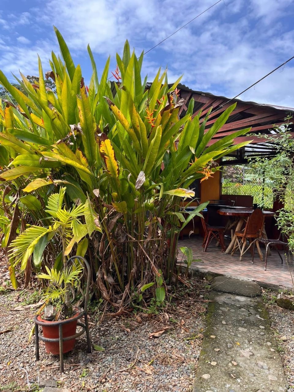 Cabinas Cable Talamanca Cabin in Puerto Viejo Talamanca