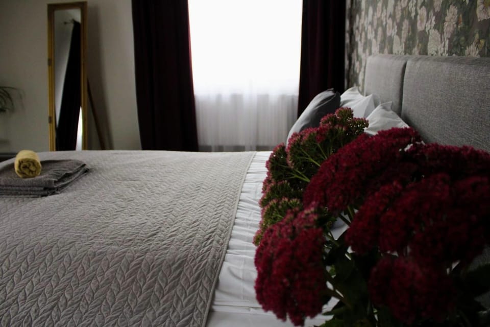 Viduma apartamenti Bed and Breakfast in Latvia