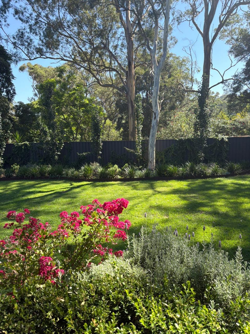 Garden view
