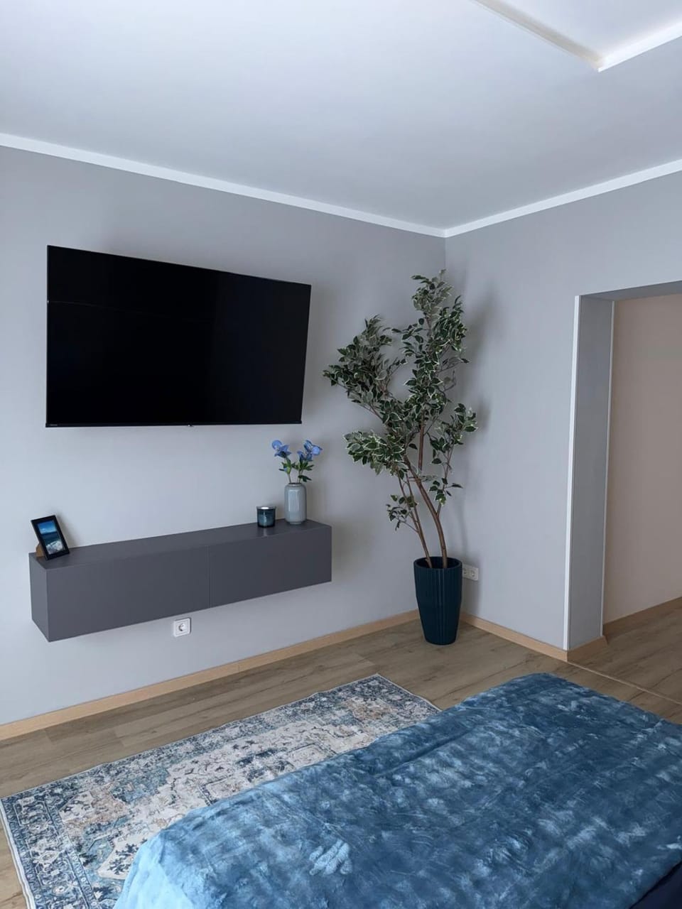 TV and multimedia