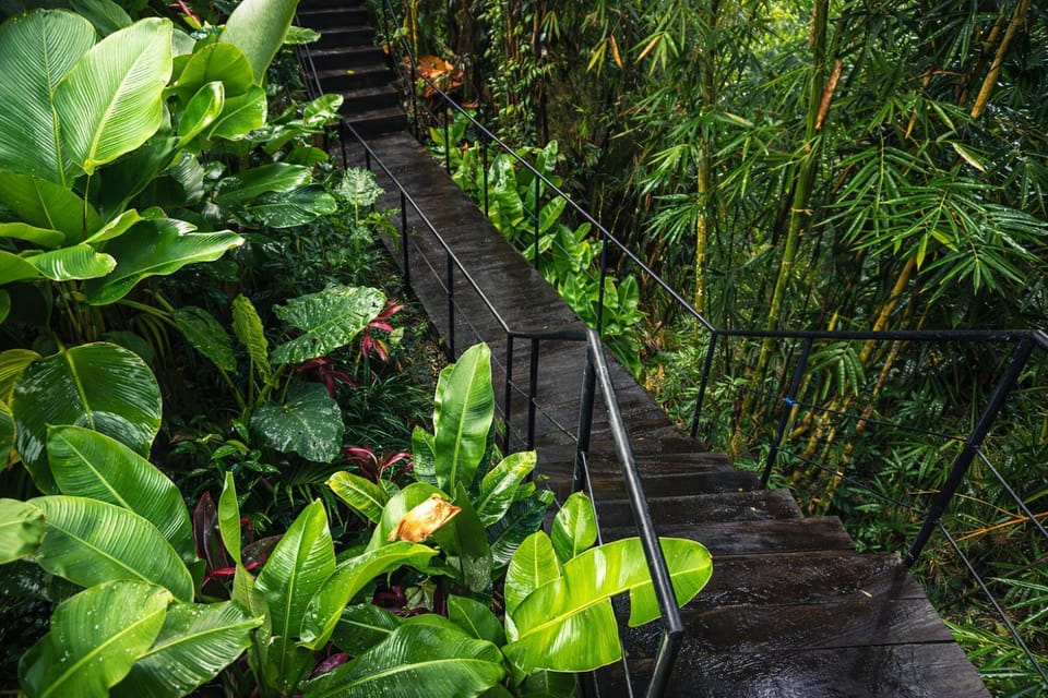 Garden, Garden view